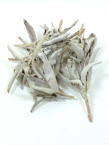 Folha Sálvia Branca 1 Kg