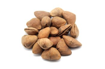 Semente Chapeu De Napoleao