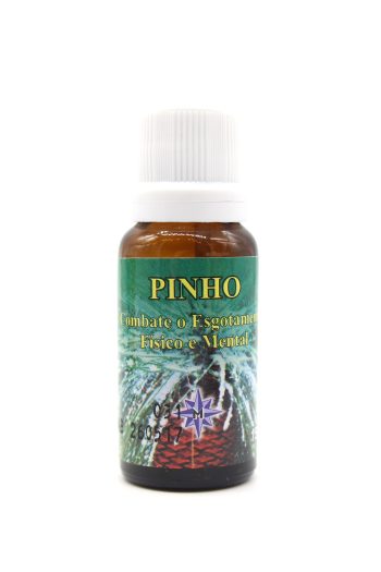 Essência Liquida Mandala Pinho 15ml