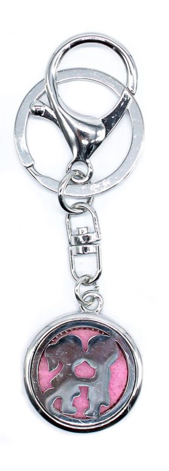 Porta Chave Aromatizador Meninos