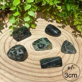 Jaspe Crocodilo Rolada