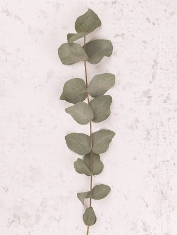 Quadro Tela Flor 30X40Cm