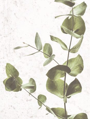 Quadro Tela Flor 30X40Cm