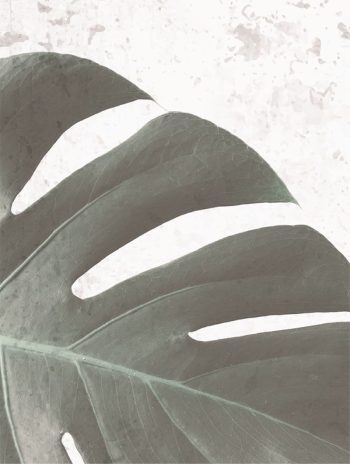 Quadro Tela Flor 30X40Cm