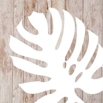 Quadro Tela Parra 50X50Cm