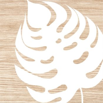 Quadro Tela Parra 50X50Cm