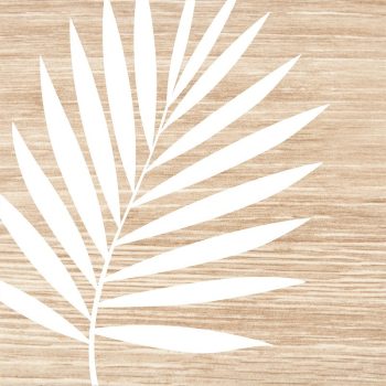 Quadro Tela Parra 50X50Cm