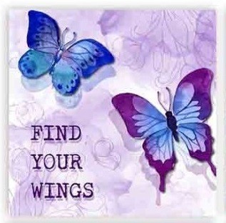 Quadro Tela Borboleta 40X40Cm