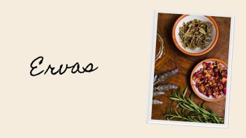 Ervas