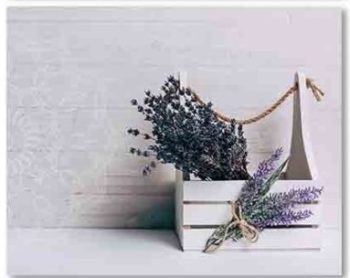 Quadro Tela Lavanda 40x50cm